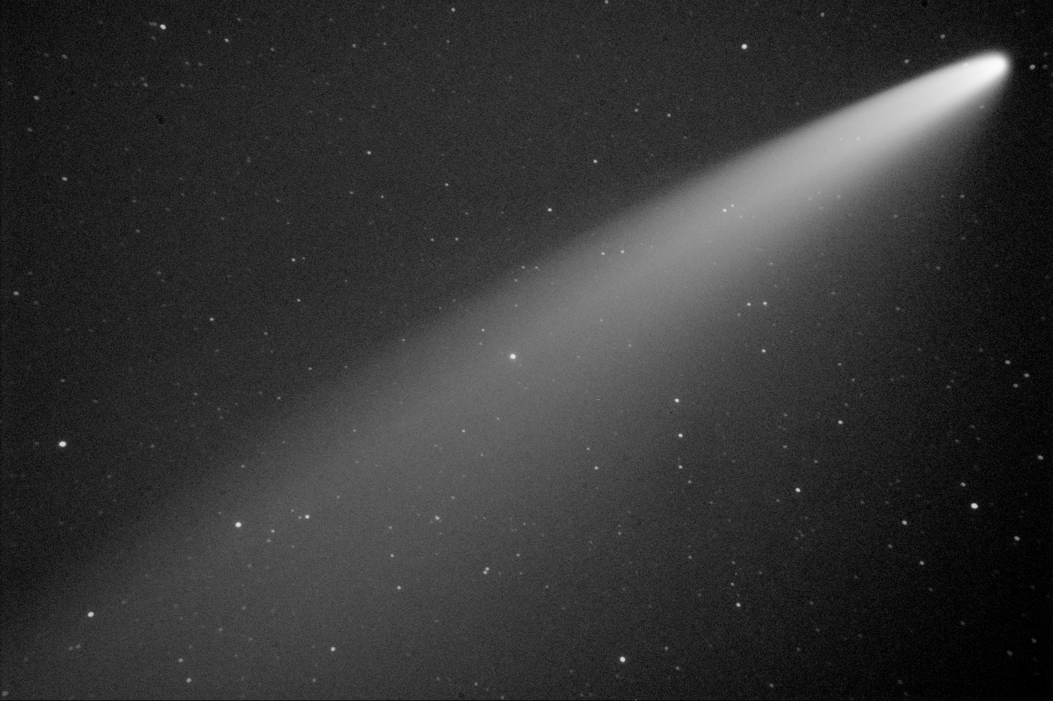 NEOWISE Comet